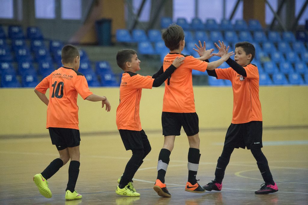 vii-gobe-kupa-ba-13_or