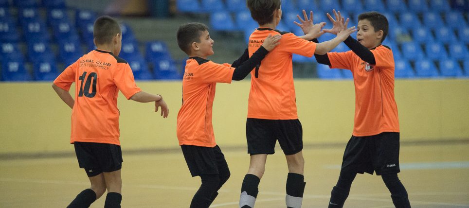 vii-gobe-kupa-ba-13_or