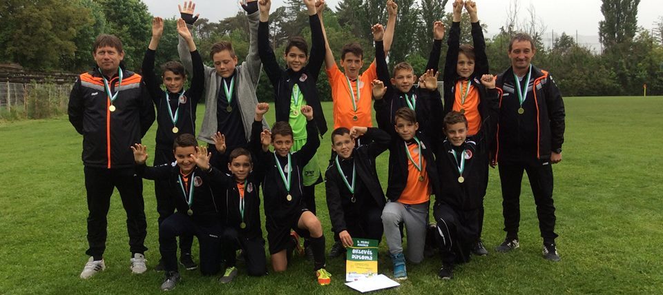 szfc 2005 dribli kolozsvar