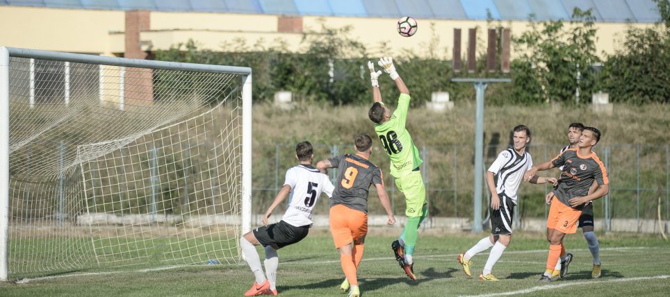 szfc--szaszhermany-ba_or